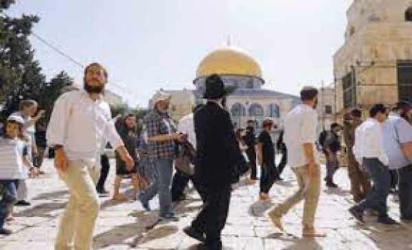 78 مستوطنا و 60 طالباً يهوديا يقتحمون ساحات المسجد الاقصى