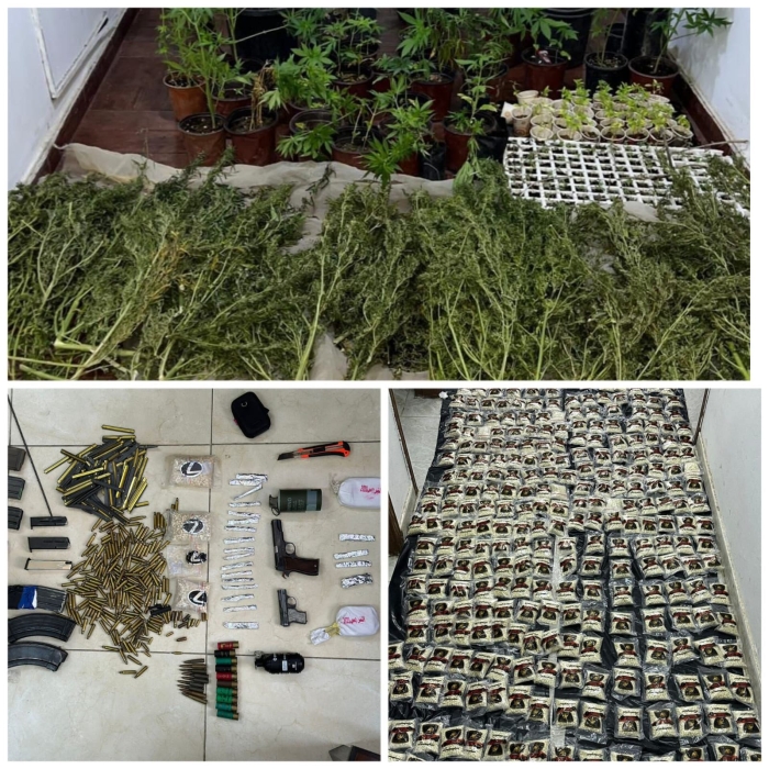 مكافحة المخدرات: القبض على متورطين بتجارة وزراعة وتهريب المخدرات