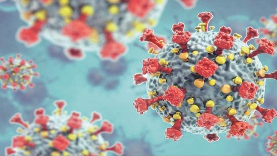 فيروس جديد ينتشر في الصين.. وجدل شبح كورونا يثير الجدل عالميا