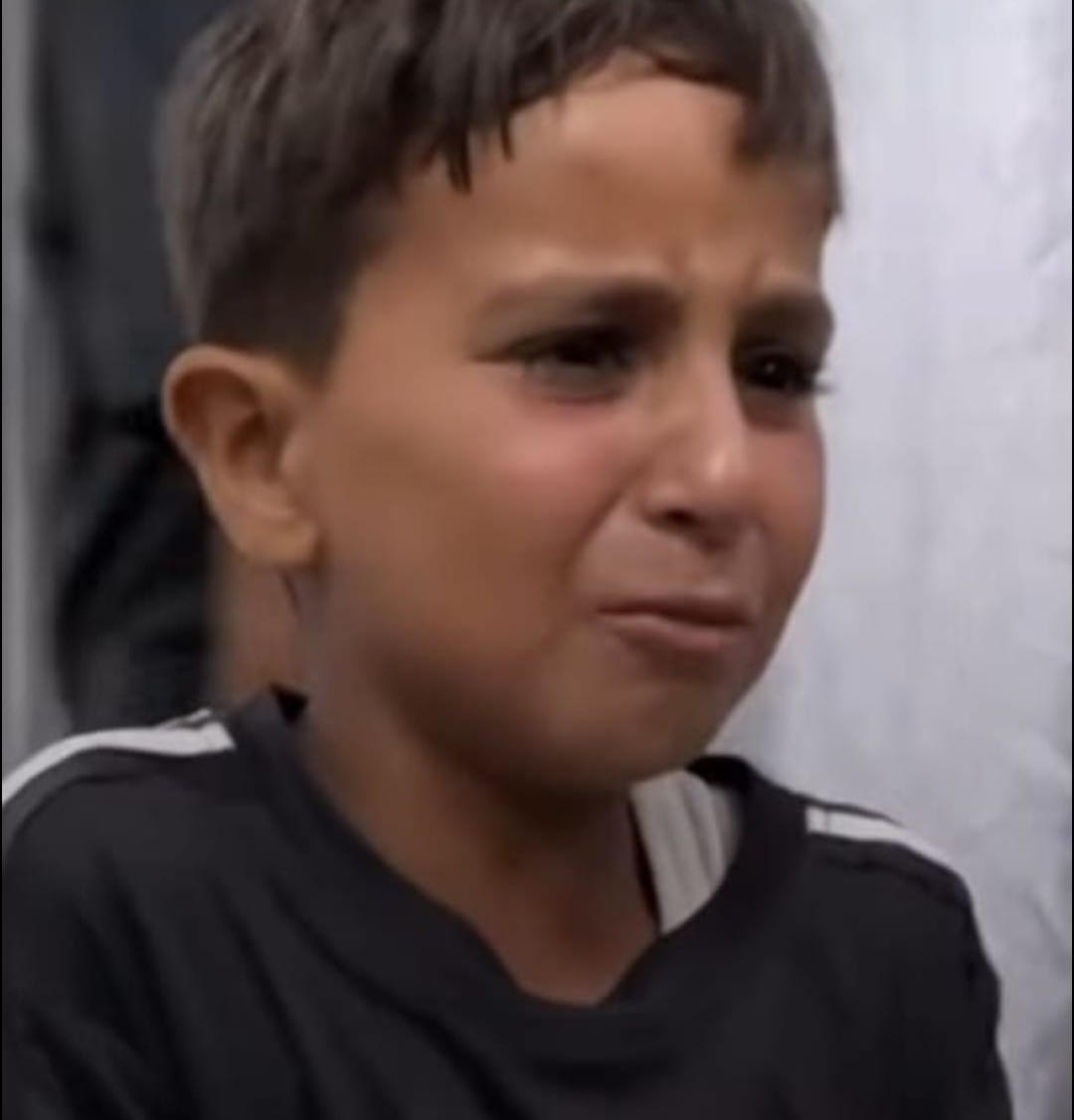 ما زال في الحياة.....أمل، ،،