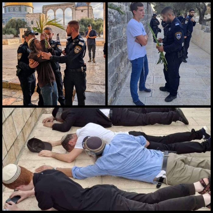 شرطة الاحتلال ومنظمات الهيكل تكرران فرض القرابين النباتية التوراتية في المسجد الأقصى