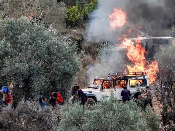 موسم زيتون مجبول بالدم الفلسطيني والارهاب الاسرائيلي في الضفة