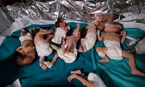 قذيفة اسرائيية أبادت 4000 جنين في غزة.. كيف حصل ذلك؟!