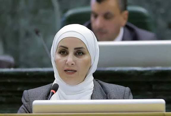 أبو رمان توجه سؤالا مباشرا لوزير الطاقة .. والأخير يتخذ قرارا فوريا