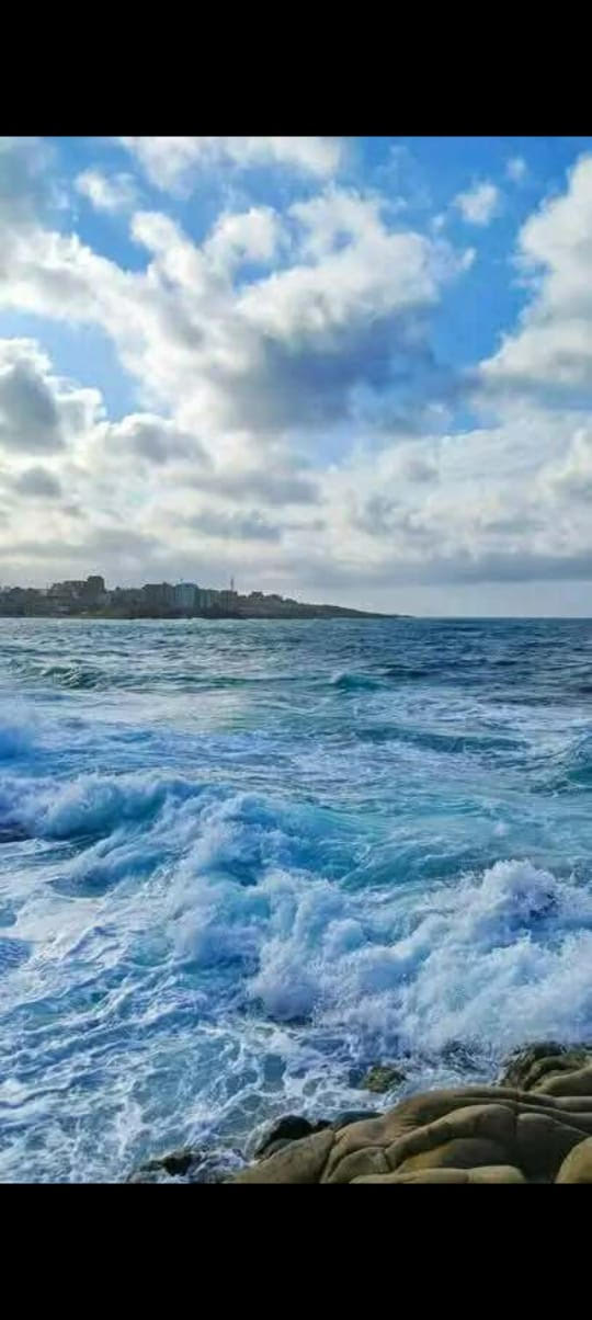 رحلة الشتاء...