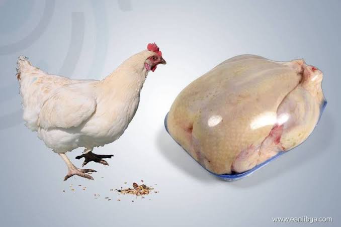 هل وقع الدجاج بعد المواطن ضحية قرار للحكومة..هل اوقفوا استيراد المجمد؟