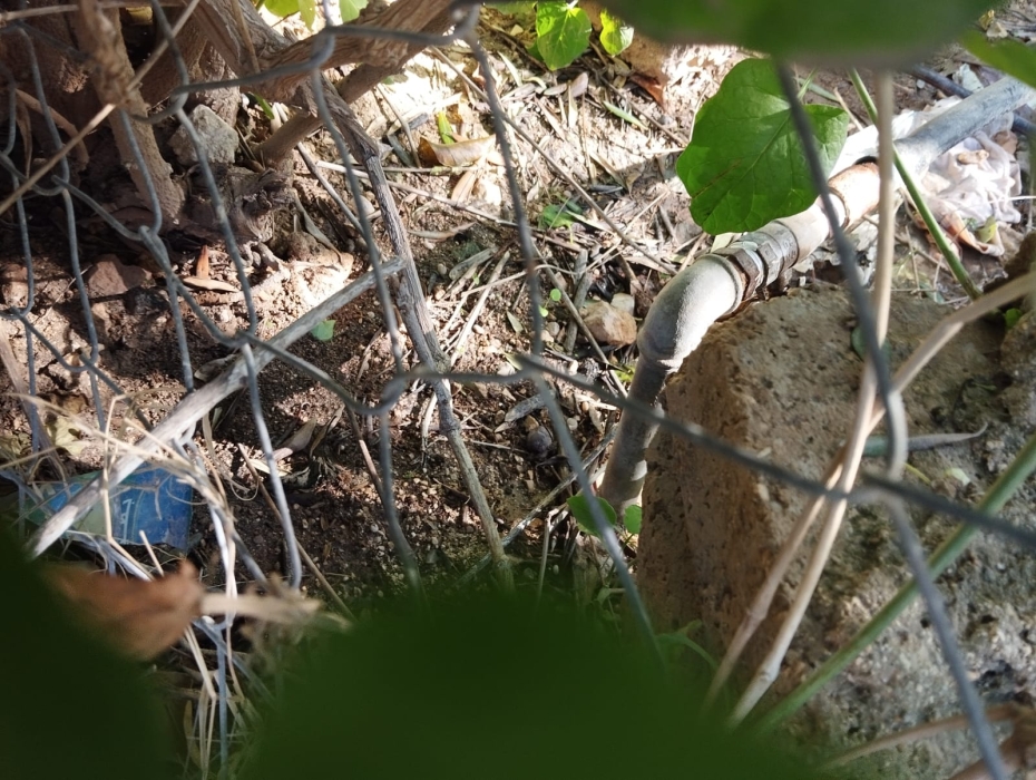 المياه تضبط اعتداءات على خط رئيسي قطر 4 انش في الاغوار الشمالية