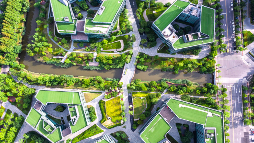 172 مليون دينار قيمة أراض اشتراها  الضمان بمدينة عمرة