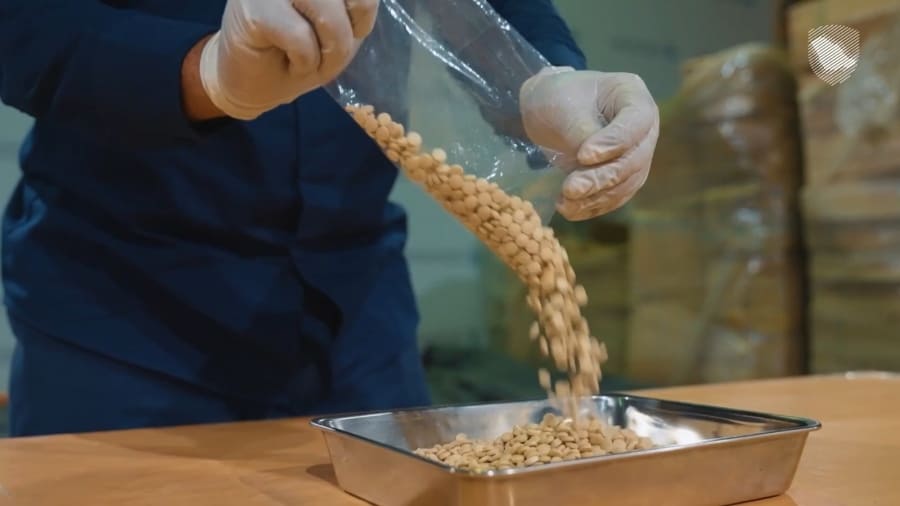 السعودية تضبط ربع مليون حبة مخدرات قادمة من الأردن