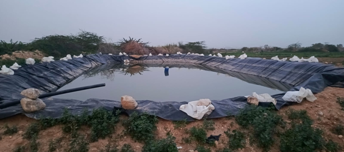 حملة أمنية كبيرة في الشونة الجنوبية تضبط بئرا مخالفا ومحطة لتحلية وبيع المياه