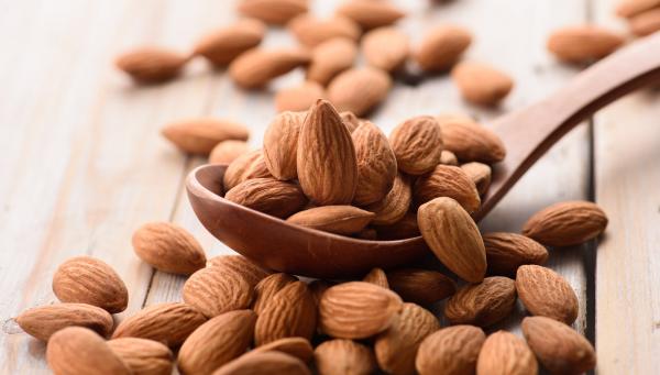 فوائد تناول اللوز بشكل يومي