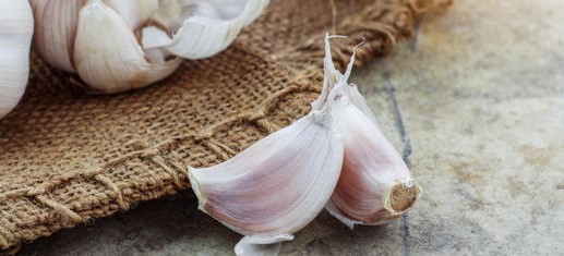 فصّان من الثوم يوميًا: نصيحة الخبراء لصحة القلب من كتابة mona al safadi • 1 أسبوع •  2 دقيقة من القراءة    فصّان من الثوم يوميًا: نصيحة الخبراء لصحة القلب فصّان من الثوم يوميًا: نصيحة الخبراء لصحة القلب في هذا المقال نسلط الضوء على فوائد تناول الثوم لصحة القلب، ونوضح الكمية اليومية المقترحة مع أهم النصائح والمحاذير المرتبطة به.  يعتبر الثوم من أكثر الأطعمة الطبيعية التي حظيت باهتمام كبير في الدراسات الغذائية، خصوصًا فيما يتعلق بصحة القلب والأوعية الدموية. فالاستهلاك المنتظم له، وبكميات معتدلة، قد يساهم في دعم وظائف الجسم الحيوية بفضل مركباته النشطة. ومن أبرز النصائح المتداولة بين الخبراء تناول فصّين منه يوميًا للاستفادة من خصائصه الصحية من دون إفراط. وفي السياق نفسه، تعرفوا على أفضل أنواع الثوم: القوة الحقيقة وراء النكهات المميزة.  لماذا يحظى هذا المكون باهتمام صحي؟ يحتوي مركبات كبريتية نشطة مثل الأليسين يمتلك خصائص مضادة للأكسدة يساهم في دعم الدورة الدموية يرتبط بتحسين بعض مؤشرات صحة القلب. وفقًا لما جاء في موقع healthfood.thebustednews  Expand article logo  متابعة القراءة هذه العناصر تجعله مكونًا غذائيًا مميزًا يستخدم منذ قرون في الطب التقليدي والحديث على حد سواء.   الثوم من الأغذية الصحية المعروفة منذ القدم الثوم من الأغذية الصحية المعروفة منذ القدم