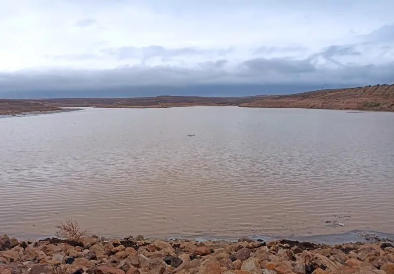 وزارة المياه: موسم مطري “ممتاز” يتجاوز 130 ويعزز المخزون المائي في المملكة