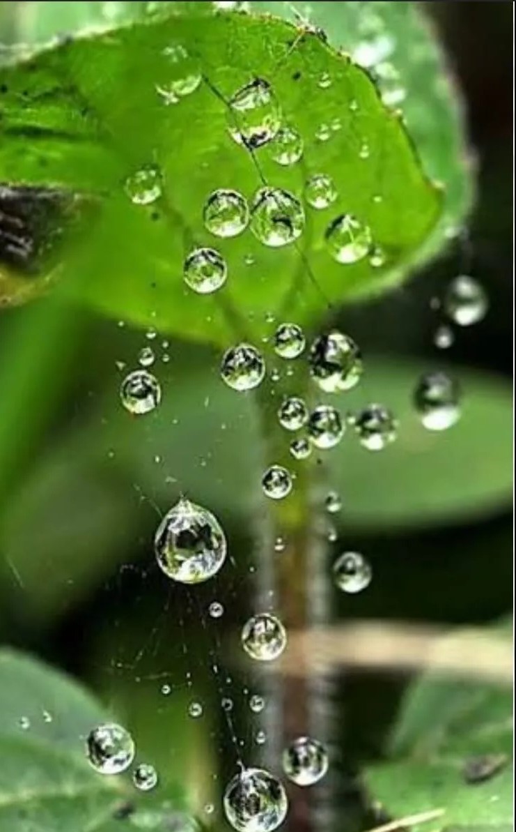 الارصاد الجوية : أجواء باردة نسبياً وأمطار متفرقة الأربعاء… وارتفاع طفيف على الحرارة نهاية الأسبوع.