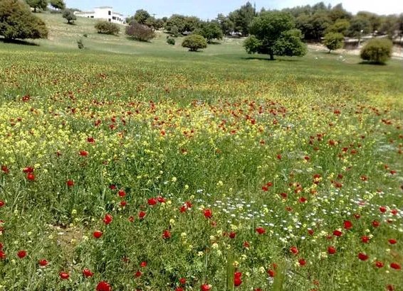 ارتفاع تدريجي على الحرارة حتى الجمعة وأجواء غير مستقرة يعقبها انخفاض السبت