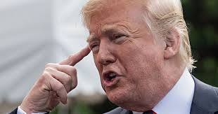 كتب وليد عبد الحى: سبع عجائب وترامب ثامنها