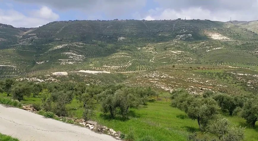 الأمن العام يدعو للحفاظ على نظافة المواقع العامة ويضبط مخالفات بيئية