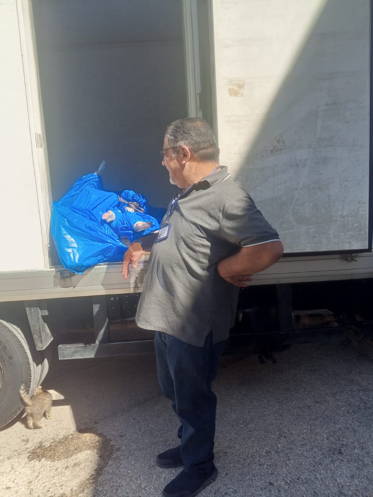 الديوان الملكي يُوزّع الأضاحي في مخيم البقعه وحوض عين الباشا