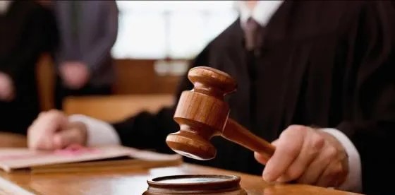 البيئة: ارتفاع القضايا المحالة للنائب العام بنسبة تتجاوز 260 وتعزيز لتطبيق القانون