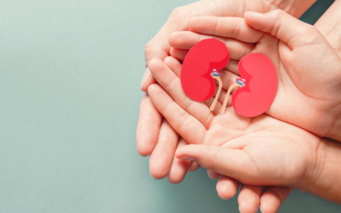 29 ألف شخص سجّلوا للتبرع بالأعضاء عبر سند